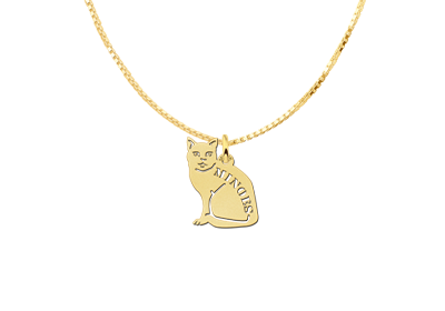 Gouden hanger poes2 Gouden hanger poes2